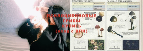 Альфа ПВП Абаза