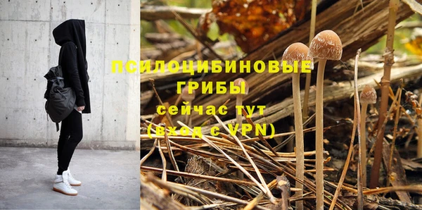 ALPHA PVP Алексин