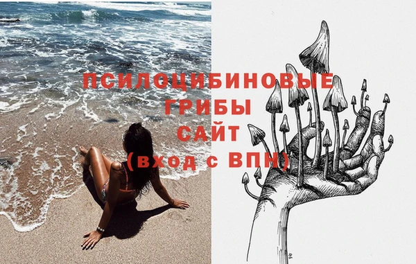 ALPHA PVP Алексин