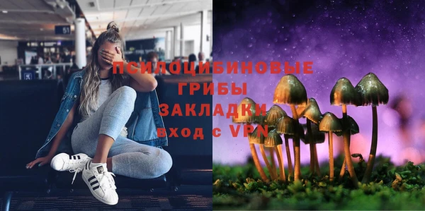 соль курить ск Алексеевка