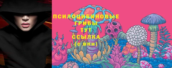 соль курить ск Алексеевка
