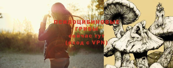 соль курить ск Алексеевка