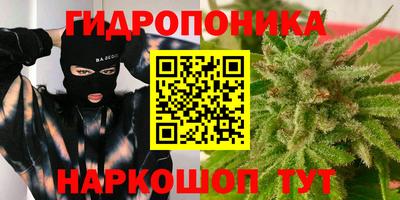 гидропоника Славгород