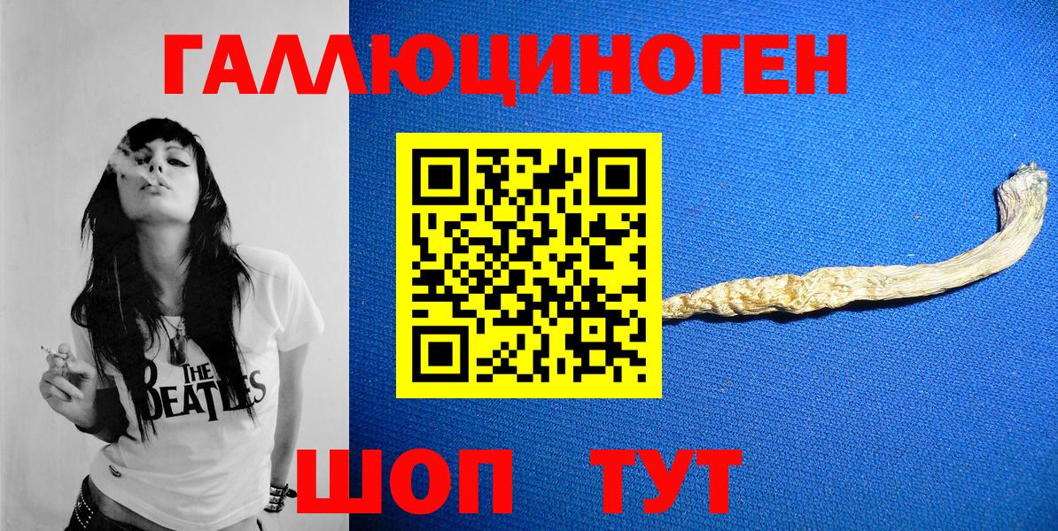 Саянск  Галлюциногенные грибы Psilocybe  Вход с VPN 