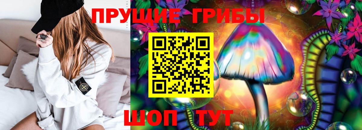 Псилоцибиновые грибы GOLDEN TEACHER Саянск